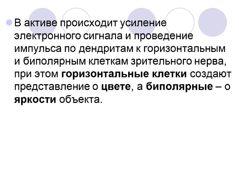 В активе происходит усиление электронного сигнала и проведение импульса по дендритам к горизонтальным и